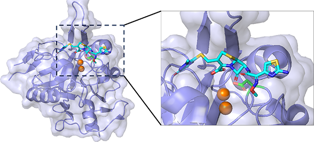 illustration of genetic material