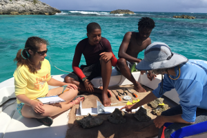 tagging of the queen conch in The Bahamas summer 2019